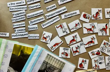 Фотография со встречи с ветеринаром Софьей Кутеповой
